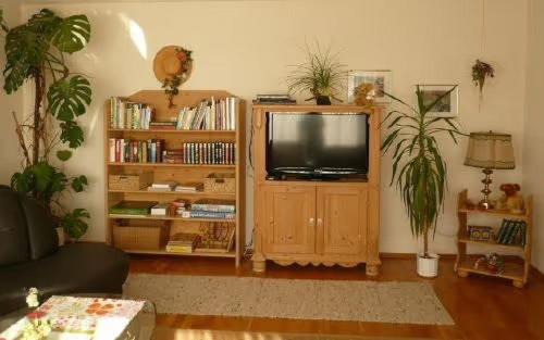 Ichenhausen Appartement | Ferienwohnung Irmgard