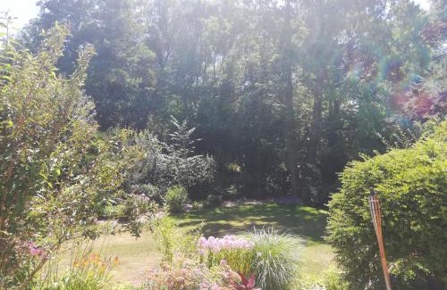 Nittenau Appartement | Ferienwohnung Jobst - Ruhig mit Blick ins Grüne