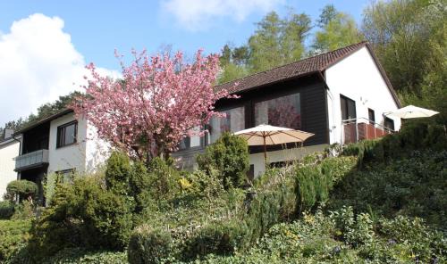 Bad Wuennenberg Appartement | Ferienwohnung "Kirchblick" im Ferienhaus Blumenhain