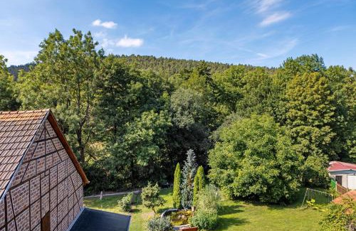 Plaue Appartement | Ferienwohnung Kleinbreitenbach 2