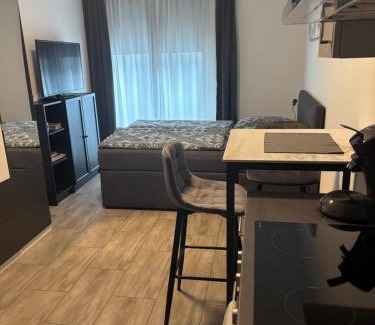 Konstanz Appartement | Ferienwohnung Konstanz