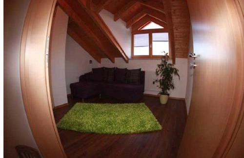 Zwiesel Appartement | Ferienwohnung Mühl