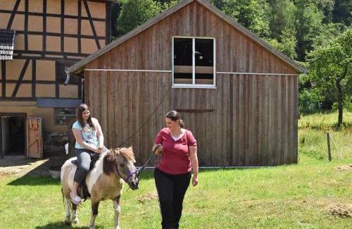 Bad Wildungen Appartement | Ferienwohnung mit eigener Terrasse in Hüddingen