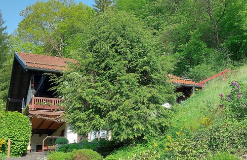 Walkenried Appartement | Ferienwohnung mit Fantastischem Ausblick, Direkt am Wald