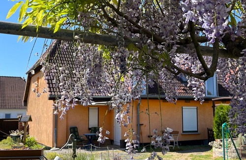 Rakow Appartement | Ferienwohnung mit Garten und Ostseenähe OVS 111 - 2-raum-ferienwohnung bis 2 Pers