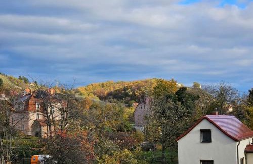 Zitzschewig Appartement | Ferienwohnung mit Weinbergblick