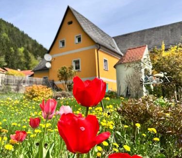 Mixnitz Appartement | Ferienwohnung-Mixnitz-Bärenschützklamm 3