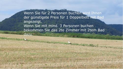 Godelheim Appartement | Ferienwohnung MW 4a bis72 m2 Höxter Weserbergland Weser 1-2P 1SZi mBad 3-4P 2SZi m2Bäder Terrasse Wäsche Endreinigung Self CheckIn