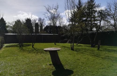 Suderneuland I Appartement | Ferienwohnung nähe Bahnhof ZOB