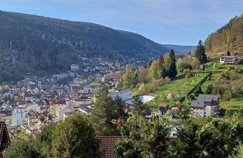 Bad Wildbad Appartement | Ferienwohnung Panoramablick