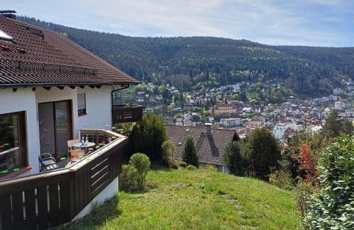 Bad Wildbad Appartement | Ferienwohnung Panoramablick
