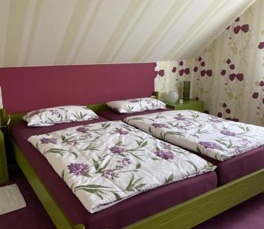 Schunteraue Appartement | Ferienwohnung Paulina