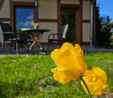 Peetsch Appartement | Ferienwohnung Peetsch am See