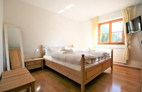 Steinach Appartement | Ferienwohnung Romi
