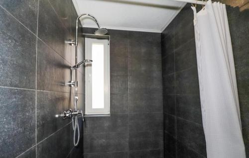 Rosenbach Appartement | Ferienwohnung - Rosenbach