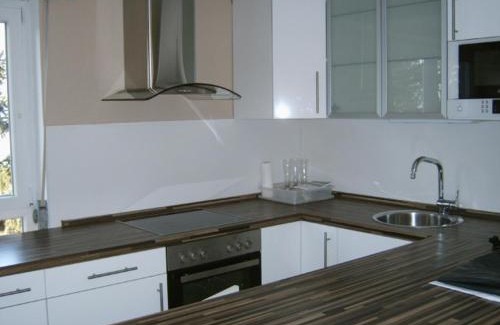 Auerbach Appartement | Ferienwohnung Schlossblick