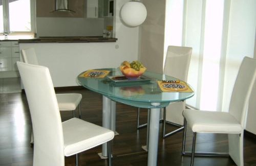 Auerbach Appartement | Ferienwohnung Schlossblick