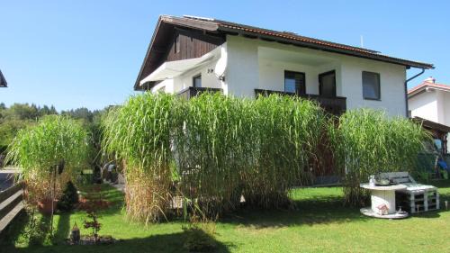 Halblech Appartement | Ferienwohnung Schopper