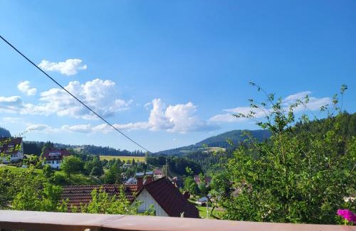 Huzenbach Appartement | Ferienwohnung Schwarzwaldglück