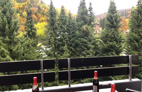 Todtmoos Appartement | Ferienwohnung Schwarzwald Todtmoos