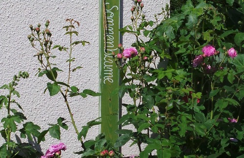 Grube Appartement | Appartement tournesol