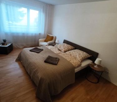 Freilassing Appartement | Ferienwohnung Sonnenfeld mit Gartenblick