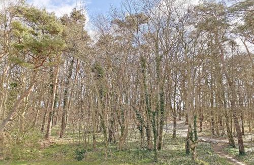 Thiessow Appartement | Ferienwohnung Sonnenstrand Whg 12