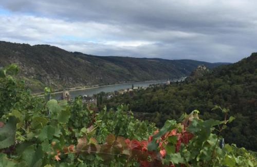 Mainz-Bingen Maison | Ferienwohnung SONNENUHR
