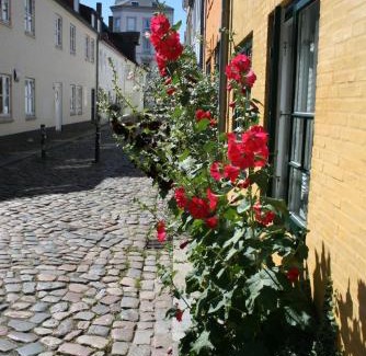 Flensburg Appartement | Ferienwohnung Stadtgrün