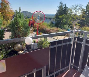 Bad Sachsa Appartement | Ferienwohnung Sweety Haus Sachsensteinblick