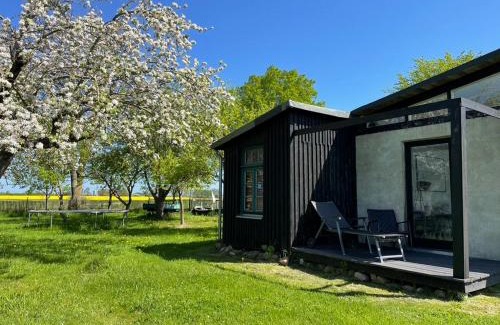 Saal Maison | Ferienwohnung Teehaus