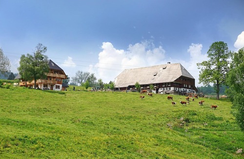 Hinterzarten Appartement | Ferienwohnung Titisee, 60qm, 2 Schlafzimmer, max. 4 Personen