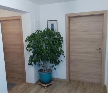 Bodensdorf Appartement | Ferienwohnung Trauntschnig