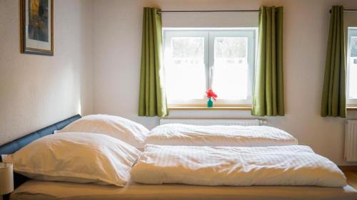 Unterallgau Appartement | Ferienwohnung Trendelmühle Lautrach