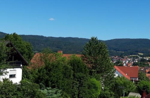 Rimbach Appartement | Ferienwohnung Trommblick - Natur Pur - Rimbach im Odenwald