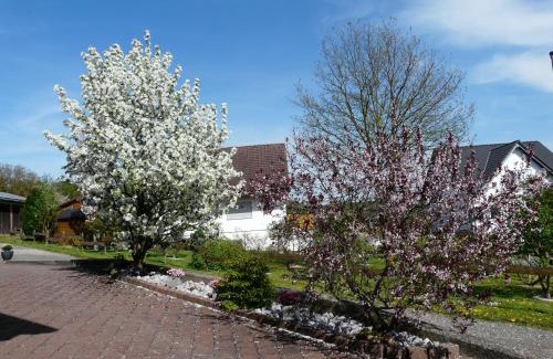 Rhein-Lahn-Kreis District Appartement | Ferienwohnung Udo und Stefani Laux