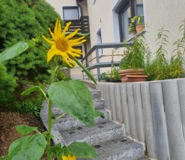 Kollnburg Appartement | Ferienwohnung Umkreis Sankt Englmar mit vielen Freizeitattraktionen