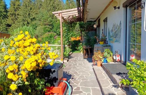 Reutte Appartement | Ferienwohnung Urisee