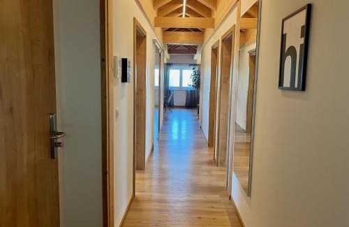 Sinzing Appartement | Ferienwohnung Villa Bachfischer