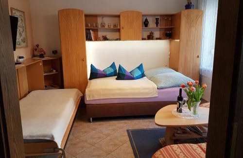 Meissen Appartement | Ferienwohnung Viola