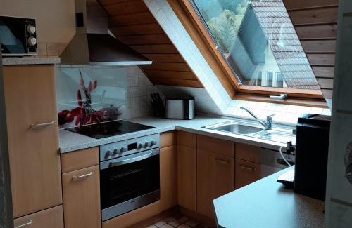 Simonswald Appartement | Ferienwohnung Waldblick