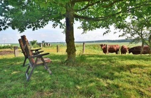 Bad Kleinen Appartement | Ferienwohnung Weideblick auf dem Bauernhof am Schweriner See