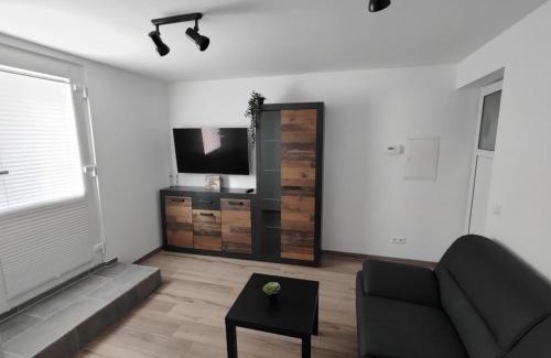 Ditzumerverlaat Appartement | Ferienwohnung Wildgans 2 Dollart Ostfriesland