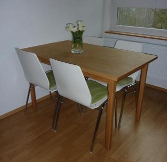 Lichtenegg Appartement | Ferienwohnung Willner