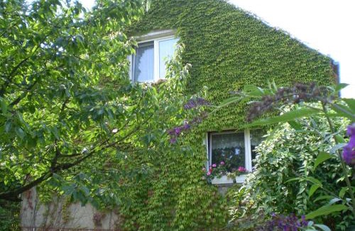 Neuruppin Appartement | Ferienwohnung Wolf