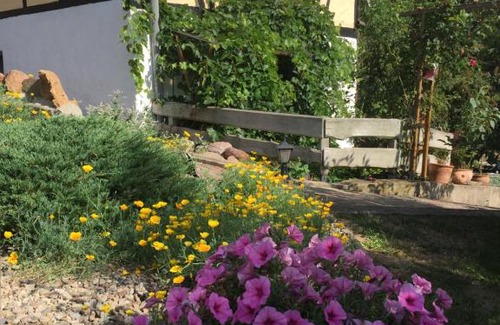 Friesdorf Appartement | Ferienwohnung "Zum Schlossblick"