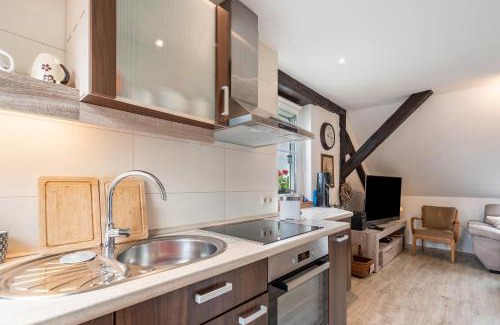 Hosterwitz Appartement | Ferienwohnung Zur alten Säge