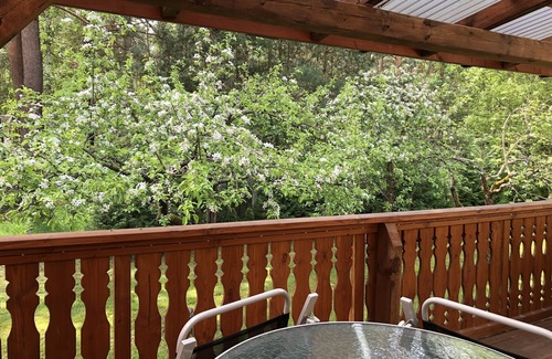 Briesensee Appartement | Ferienwohnungen am Badesee