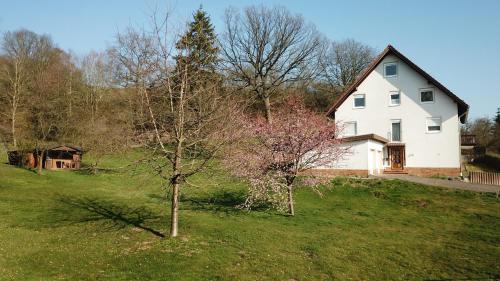 Sachsenhausen Appartement | Ferienwohnungen "Am Berge"