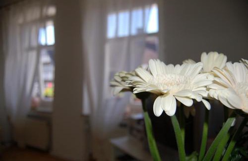 Detmold Appartement | Ferienwohnungen Café Cup